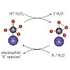 groll_143_frank_chembiochem_2016_500.100x0.jpeg