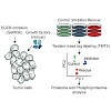 kuster-koch_et_al_j_proteme_research_2016_500.100x0.jpeg