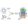 kuster-heinzlmeir_et_al_acs_chem_biol_2016_500.100x0.jpeg