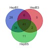 buchner-239_human_shsp_comparison_500.100x0.jpeg