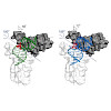 schneider-carell-ebert_et_al-2017-chembiochem_550.100x0.jpeg