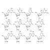 michalakis-carell-schiffers_et_al-2017-angewandte_chemie_international_edition_550.100x0.jpeg