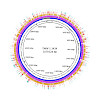 kuester-acs_jproteome_7b00474_550.100x0.jpeg