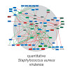 sieber-10_1021acs_jproteome_6b00705_550.100x0.jpeg