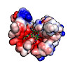 kessler-752_2017_biochemistry_melanocortin__7b00407_550.100x0.jpeg