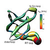 linser-2018_1_15nr1rho_chemphyschem_550.100x0.jpeg