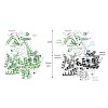 sattler-falk_rna_2017_550.100x0.jpeg