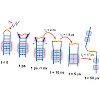 hoffmann-roeder-zinth-rampp_et_al_chemical_physics_2018_550.100x0.jpeg