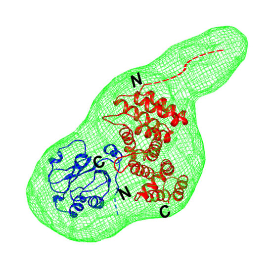 beckmann_leonhardt_2021_lei_embo_550.jpg